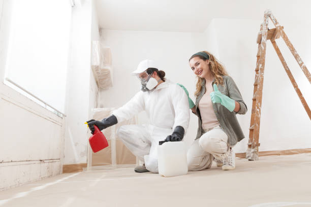 Best Environmental Consulting for Mold Prevention  in Rapids, NY